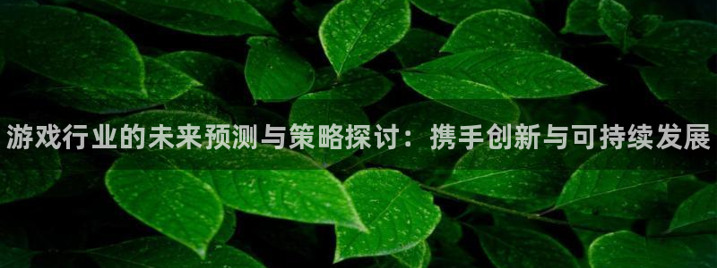 辉达娱乐线路测试：游戏行业的未来预测与策略探讨：携手创新与可