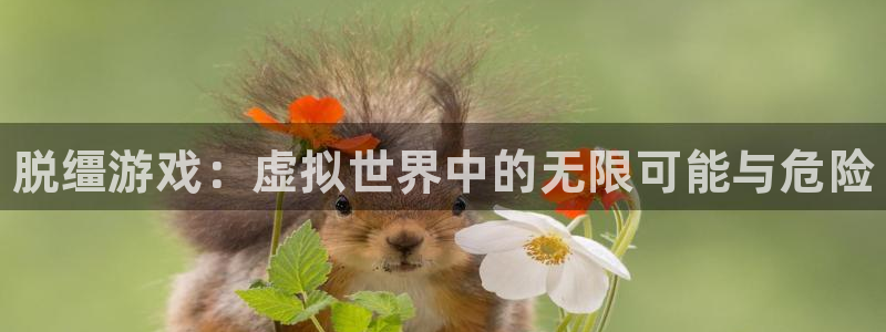 辉达娱乐主管