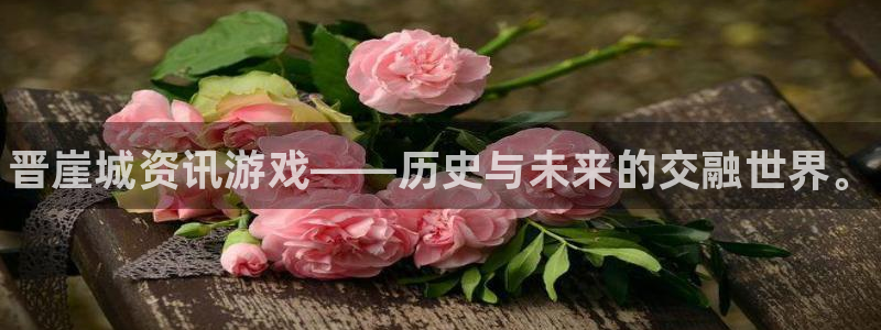 辉达娱乐4主管：晋崖城资讯游戏——历史与未来的交融世界。