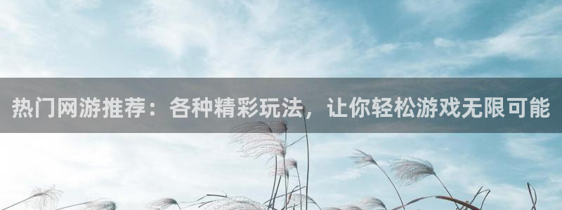 辉达娱乐注册：热门网游推荐：各种精彩玩法，让你轻松游戏无限可