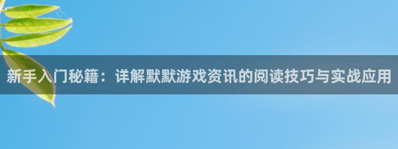 辉达娱乐代理登陆：新手入门秘籍：详解默默游戏资讯的阅读技巧与